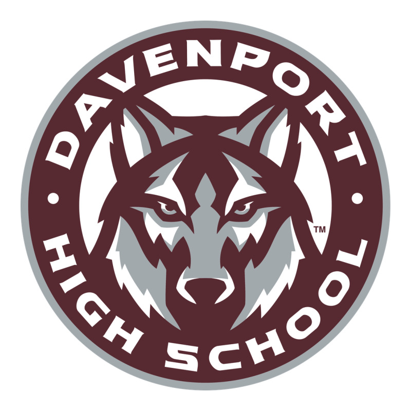 Davenport High School, Davenport Heavyweight Hoodie by linhVisuals | Teevron