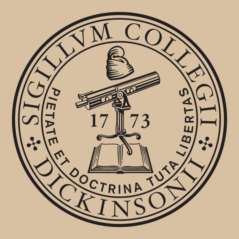 Dickinson, College Heavyweight Hoodie by linhVisuals | Teevron