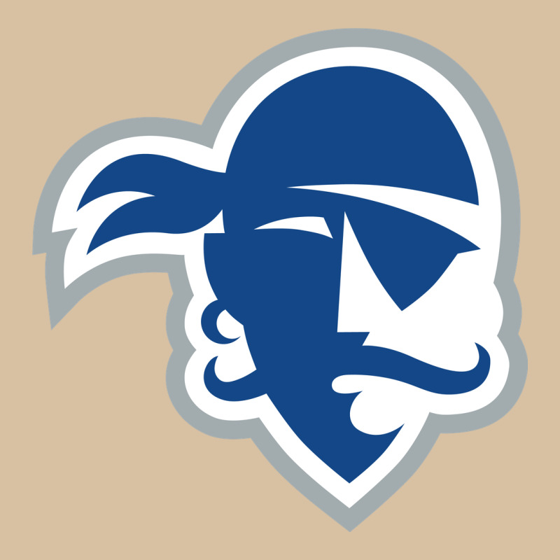 Seton Hall Pirates Heavyweight Hoodie by linhVisuals | Teevron