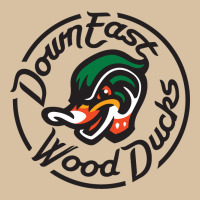 Down East Wood Ducks Heavyweight Hoodie | Teevron