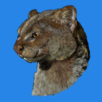 Jaguarundi Head Premium Hoodie | Teevron