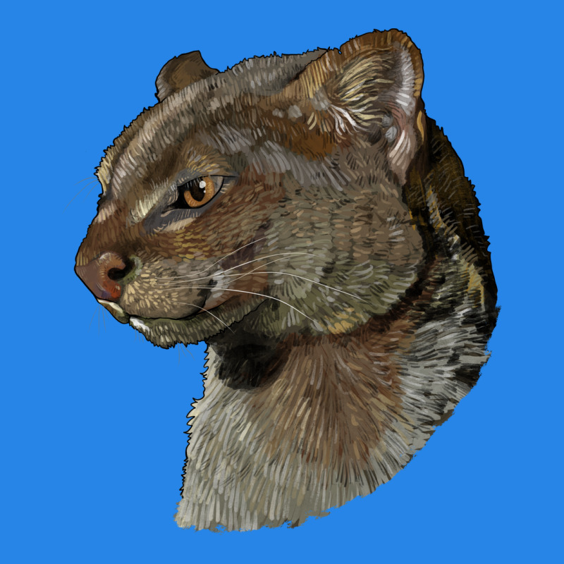 Jaguarundi Head Premium Hoodie by LillyAllenDesigns | Teevron