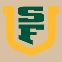 The Usf Dons Heavyweight Hoodie | Teevron