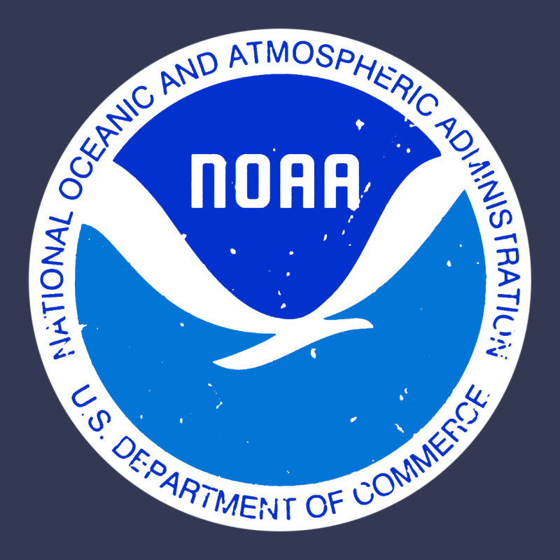 Noaa National Oceanic Heavyweight Hoodie by linhVisuals | Teevron