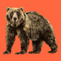 Brown Bear Premium Hoodie | Teevron