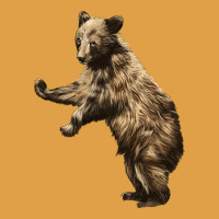 Brown Bear Cub Premium Hoodie | Teevron