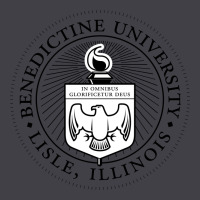 Benedictine University Heavyweight Hoodie | Teevron