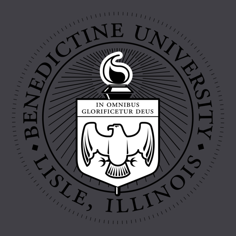 Benedictine University Heavyweight Hoodie by linhVisuals | Teevron
