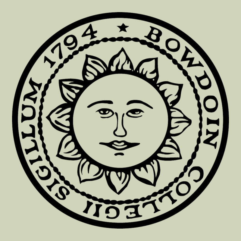 Bowdoin College Heavyweight Hoodie by linhVisuals | Teevron