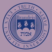 Brandeis University Heavyweight Hoodie | Teevron