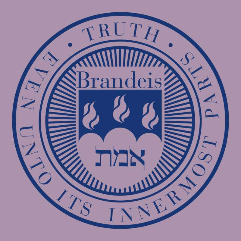Brandeis University Heavyweight Hoodie by linhVisuals | Teevron