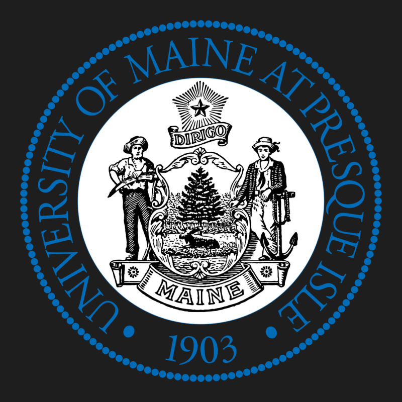 University Of Maine At Presque Heavyweight Hoodie by linhVisuals | Teevron