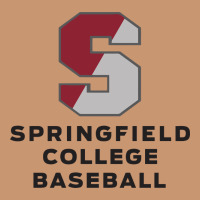 Springfield College Heavyweight Hoodie | Teevron