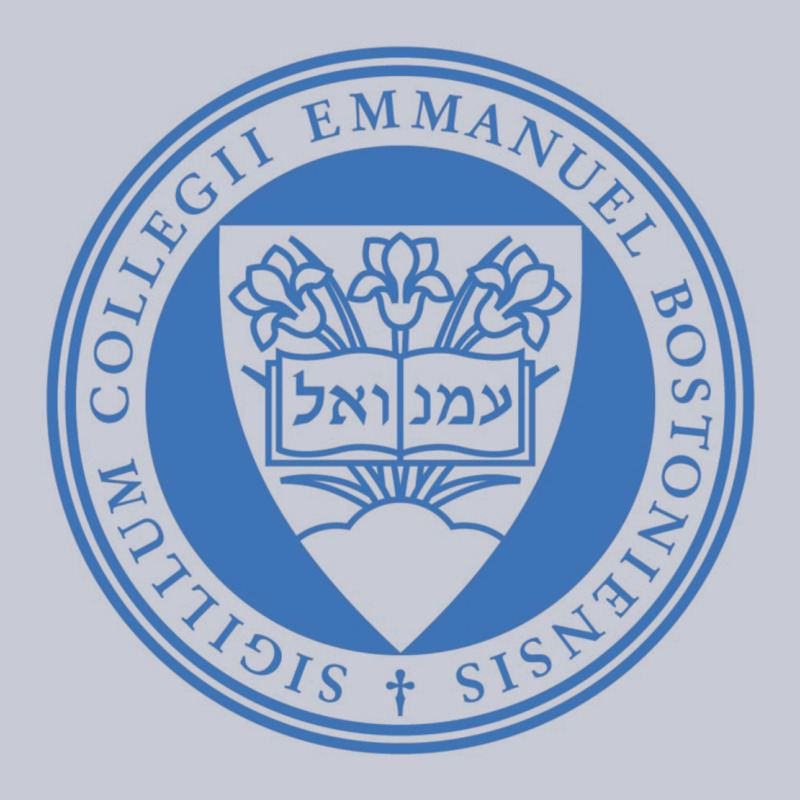 Emmanuel College Heavyweight Hoodie by linhVisuals | Teevron