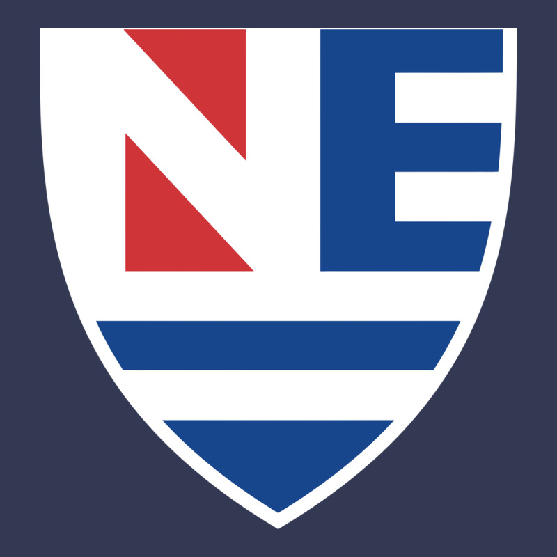 New England College Shield Vectorized Heavyweight Hoodie by linhVisuals | Teevron