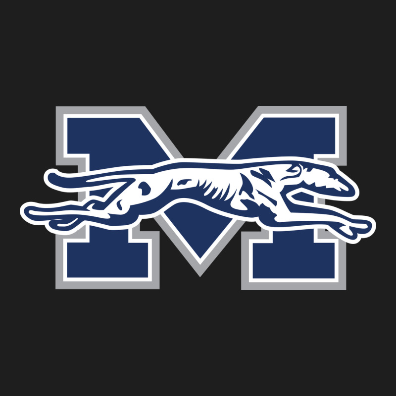 Moravian Merch, Greyhounds Heavyweight Hoodie by linhVisuals | Teevron