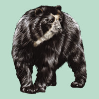 Spectacled Bear Premium Hoodie | Teevron