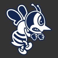 ambrose university fighting bees | Teevron