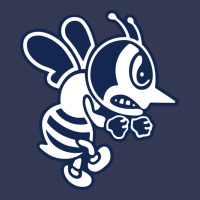 Ambrose University Fighting Bees Heavyweight Hoodie | Teevron