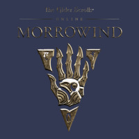 Morrowind Heavyweight Hoodie | Teevron