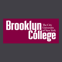 Brooklyn College Heavyweight Hoodie | Teevron