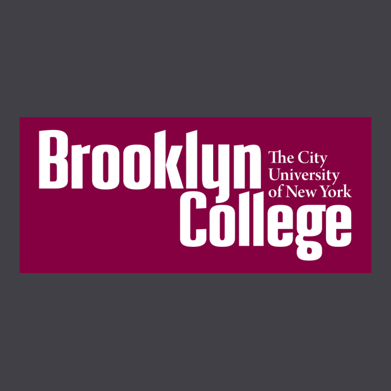 Brooklyn College Heavyweight Hoodie by linhVisuals | Teevron