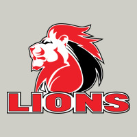 Lions Rugby Super League Heavyweight Hoodie | Teevron