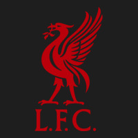 Liverpool Team Heavyweight Hoodie | Teevron