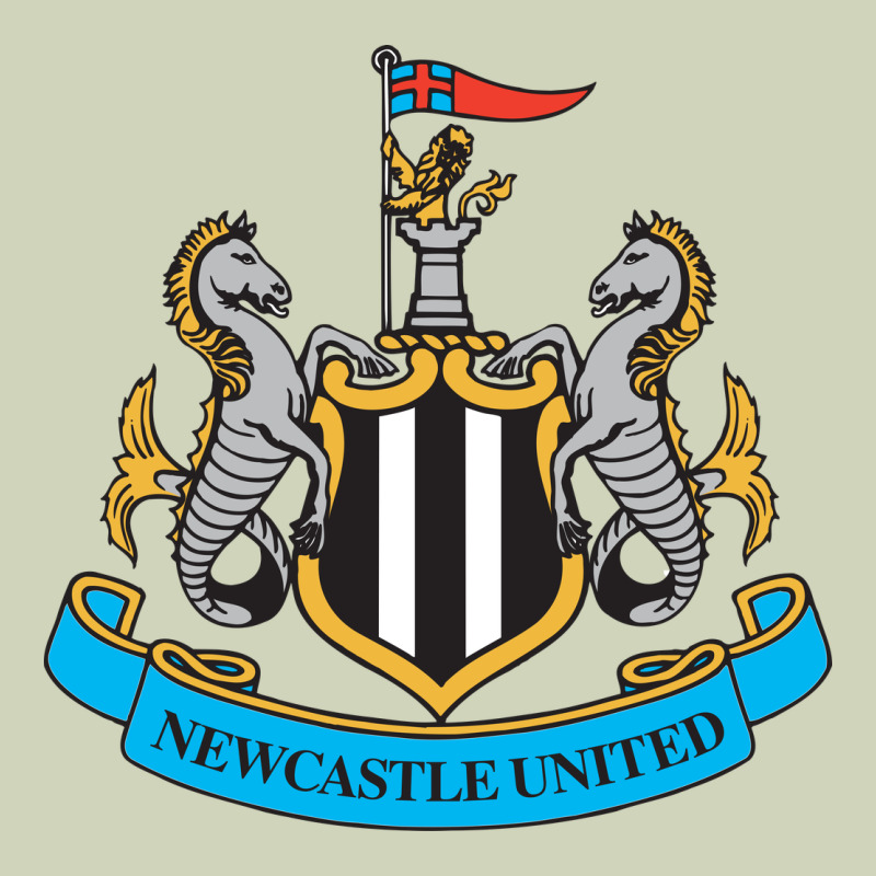 The-newcastle-united-pen Heavyweight Hoodie by linhVisuals | Teevron