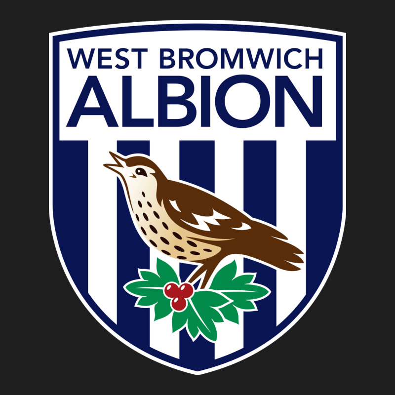 The-west-bromwich-albion-pen Heavyweight Hoodie by linhVisuals | Teevron