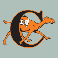 The Campbell Fighting Camels Heavyweight Hoodie | Teevron