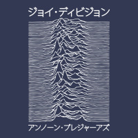 Joy Division - Unknown Pleasures - Japanese Heavyweight Hoodie | Teevron