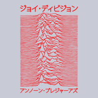 Joy Division - Unknown Pleasures - Japanese Heavyweight Hoodie | Teevron