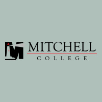 Mitchell College Heavyweight Hoodie | Teevron