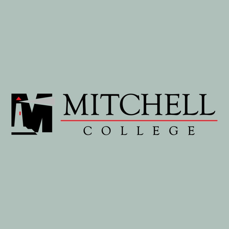 Mitchell College Heavyweight Hoodie by linhVisuals | Teevron