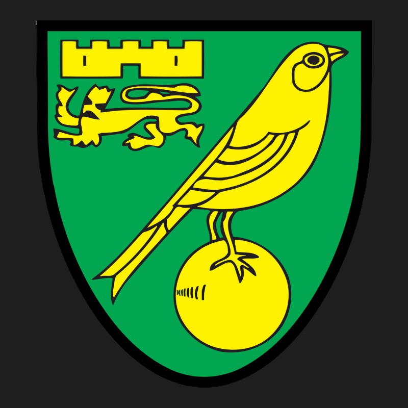 Norwich-fc Heavyweight Hoodie by linhVisuals | Teevron