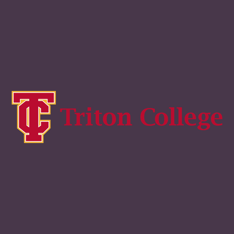 Triton College Heavyweight Hoodie by linhVisuals | Teevron