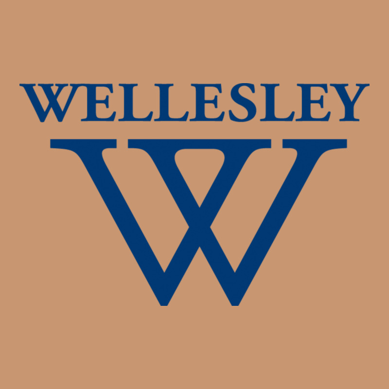 Wellesley College Heavyweight Hoodie by linhVisuals | Teevron