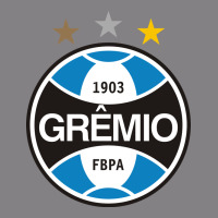 The-grêmio-pen Heavyweight Hoodie | Teevron