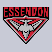 Essendon Fc Heavyweight Hoodie | Teevron