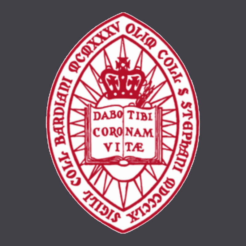 Bard College Heavyweight Hoodie by linhVisuals | Teevron