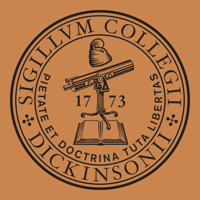 Dickinson College Heavyweight Hoodie by linhVisuals | Teevron