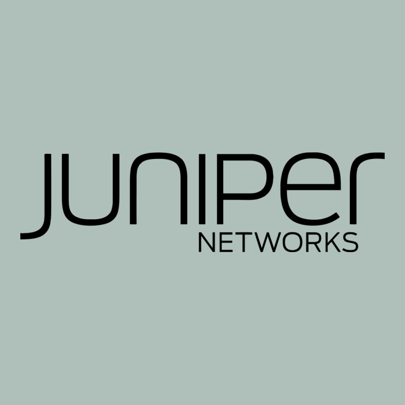Juniper Networks Heavyweight Hoodie by linhVisuals | Teevron