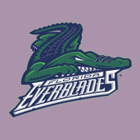 The-florida-everblades-pen Heavyweight Hoodie | Teevron