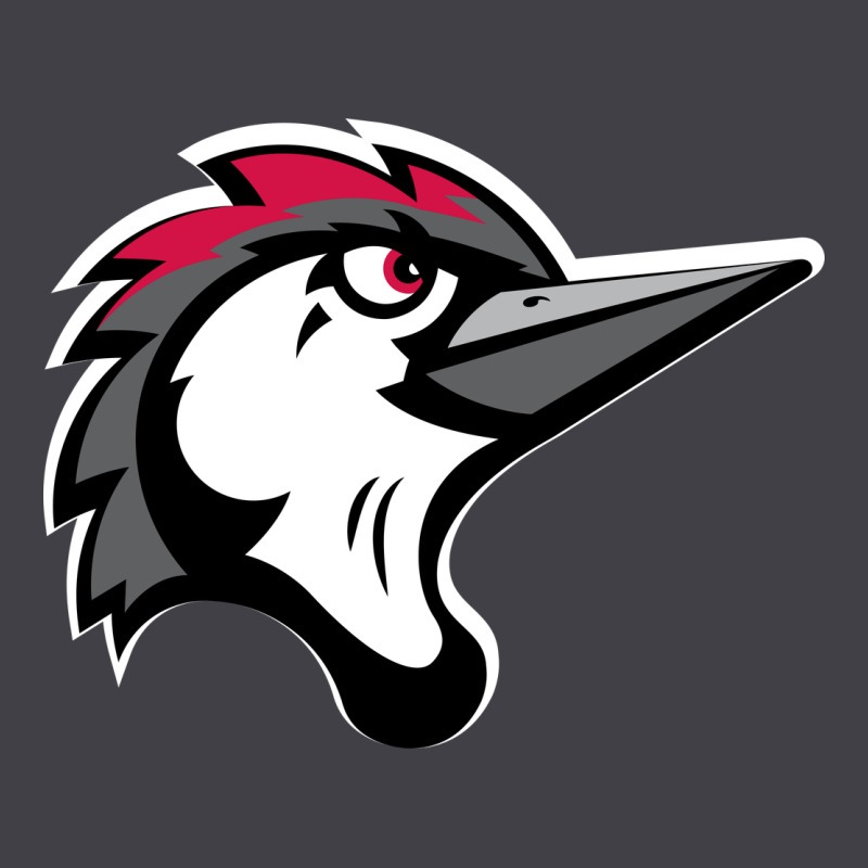 Fayetteville Woodpeckers Heavyweight Hoodie by linhVisuals | Teevron
