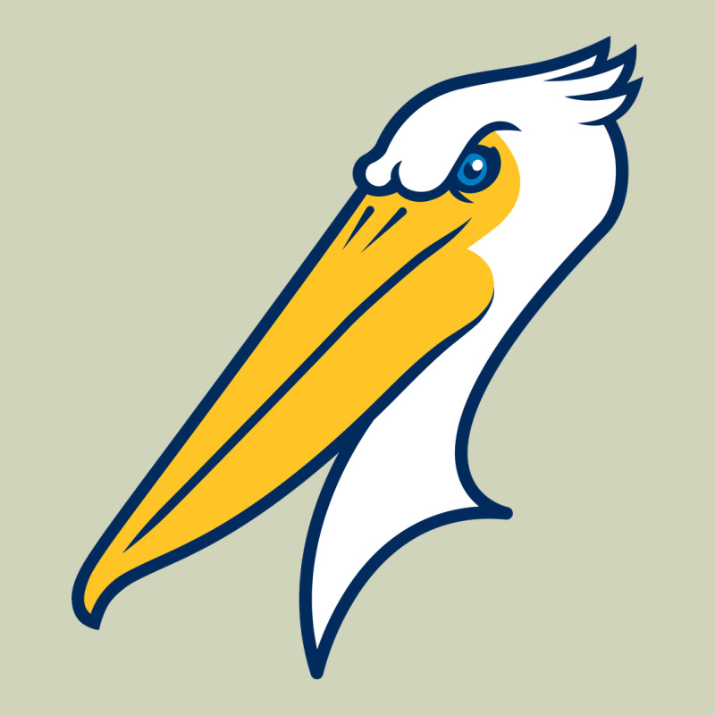 Myrtle Beach Pelicans Heavyweight Hoodie by linhVisuals | Teevron