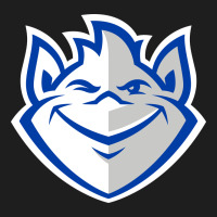 The Billikens Heavyweight Hoodie | Teevron