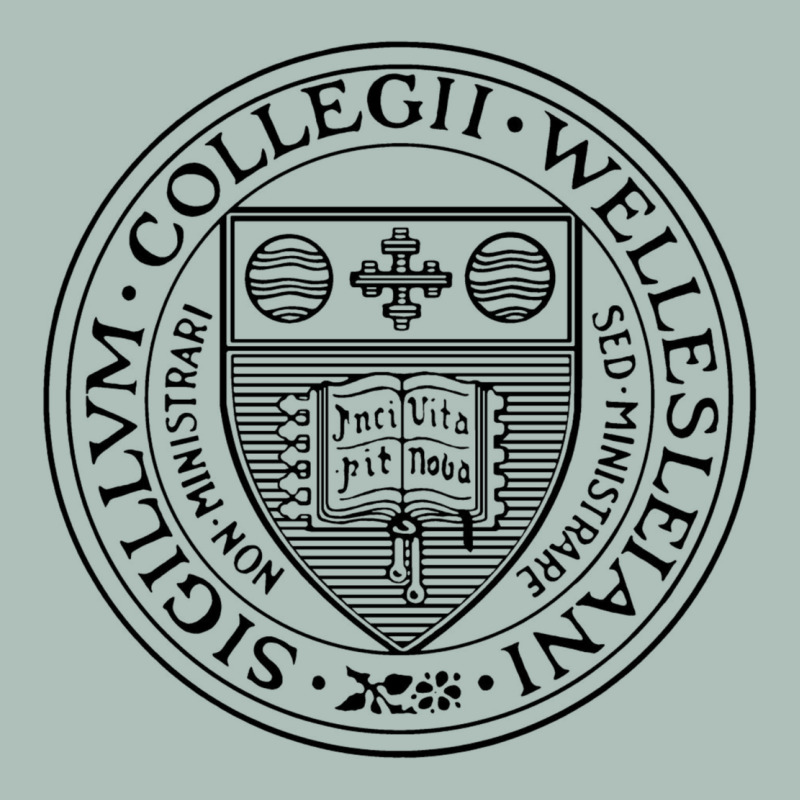 Wellesley College Heavyweight Hoodie by linhVisuals | Teevron