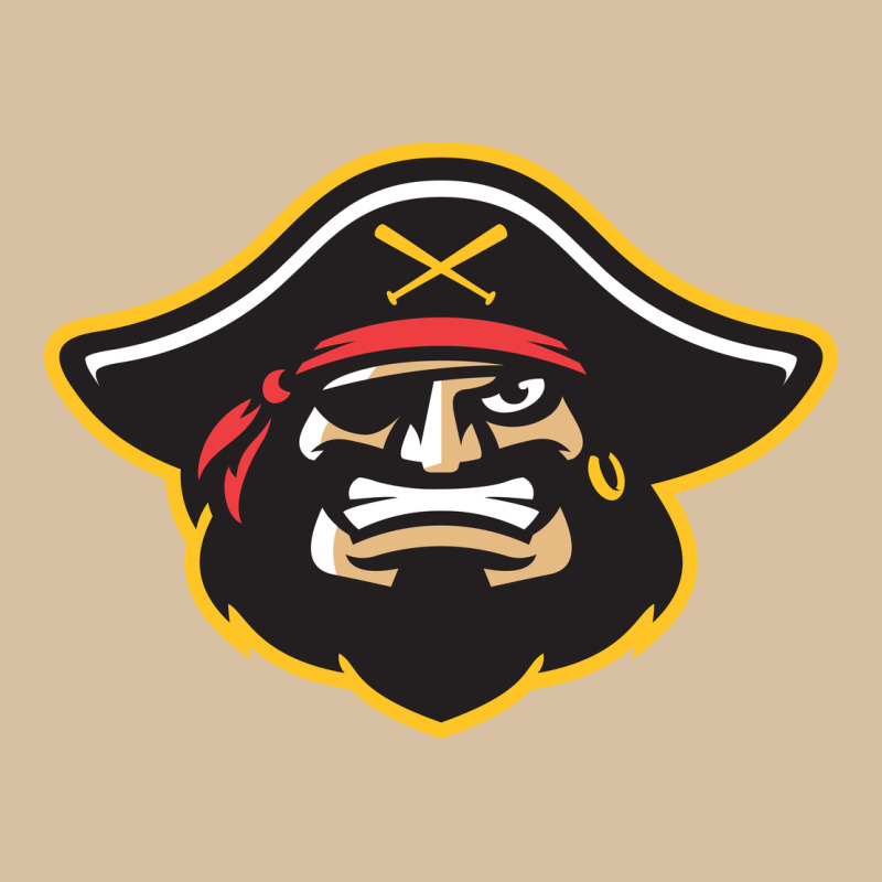 Bradenton Marauders Heavyweight Hoodie by linhVisuals | Teevron