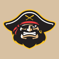 Bradenton Marauders Heavyweight Hoodie | Teevron